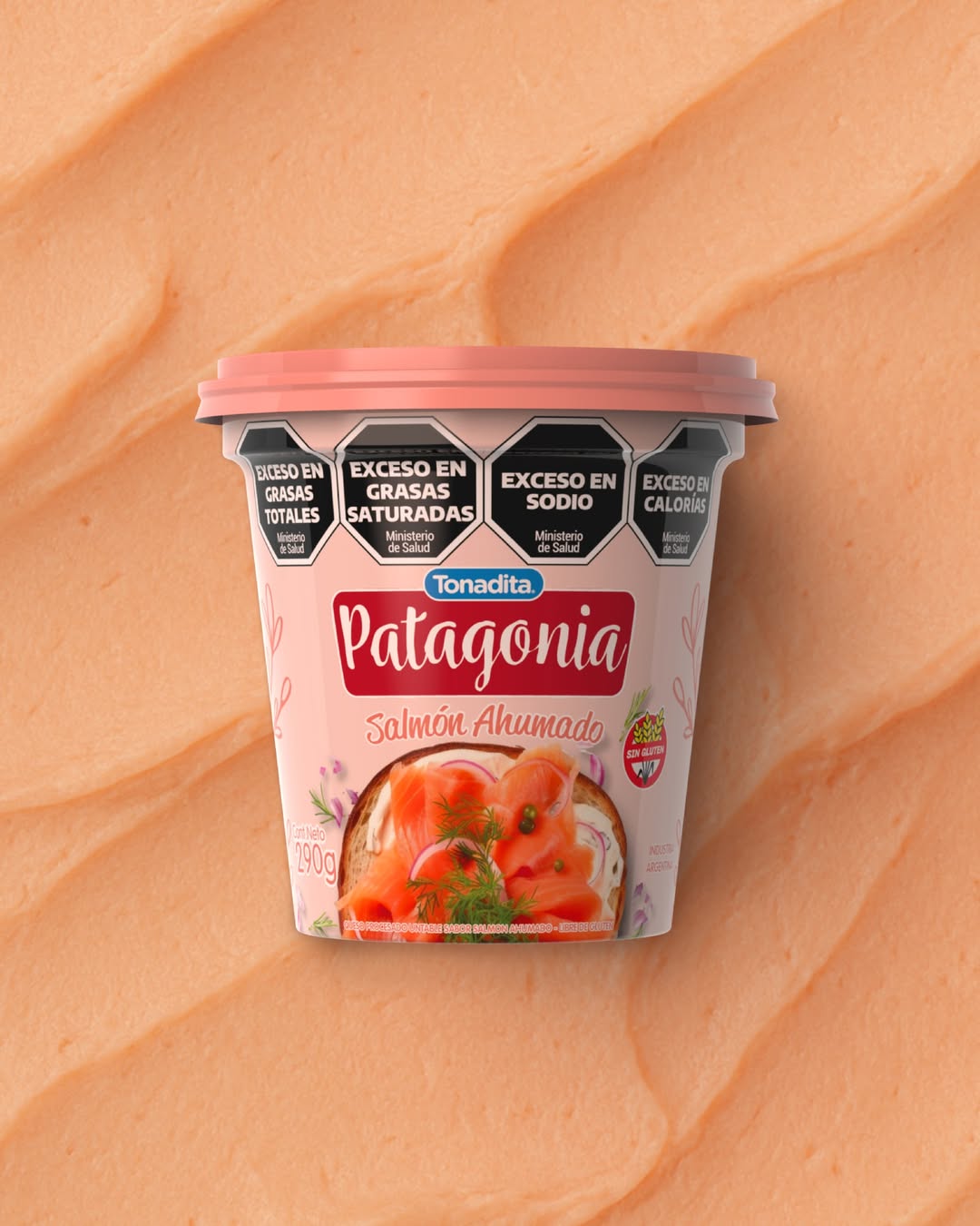 UNTABLE PATAGONIA SALMON X290GRS